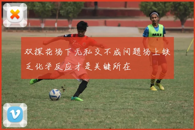 双探花场下无私交不成问题场上缺乏化学反应才是关键所在